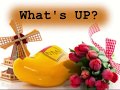 Dutch Food And Culture Festival