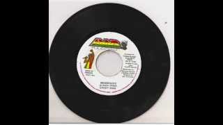 "play fool" riddim megamix promo