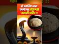 आखिर नाग पंचमी पर रोटी क्यों नहीं बनान