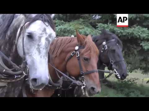 A farmer in central New York doesn't believe in using tractors or anything else with an engine to wo