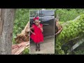 Online Fundraiser Launched Girl Dies After Tree Falls On Home