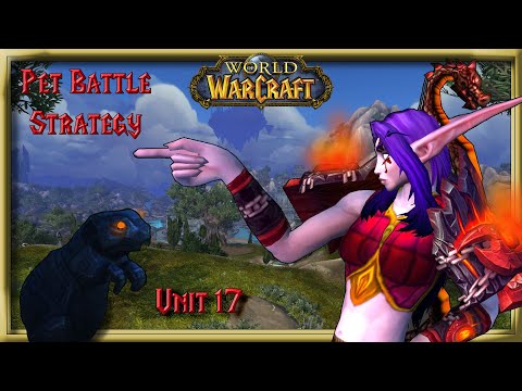 World of Warcraft - Pet Battle Strategy - Unit 17