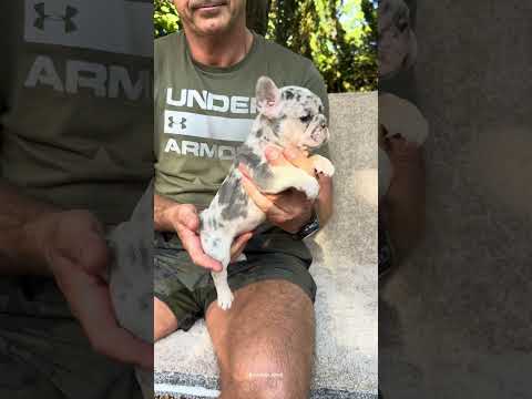 Video 1