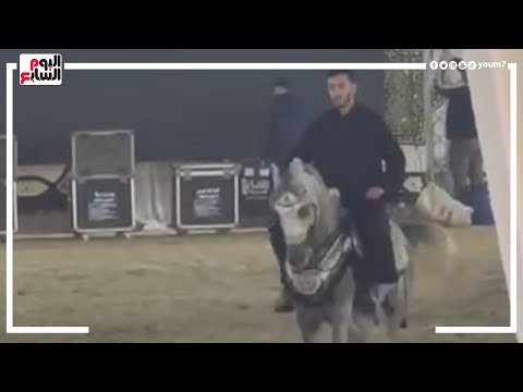 ياسين نجل عصام الحضرى يستعرض مهاراته في ركوب الخيل بمهرجان البحيرة لأدب الخيول العربية الأصيلة