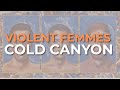 Violent Femmes - Cold Canyon (Official Audio)