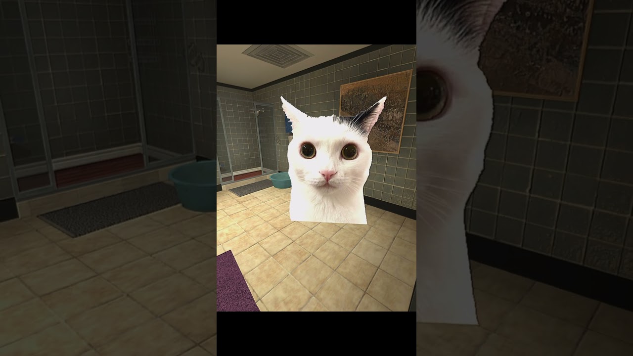 Cat looking in mirror 🪞🐱 #gmod #shorts