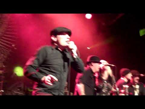 Street Dogs Live O2 Islington