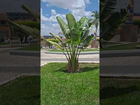 Riachão de Dantas  cidade do interior de sergipe