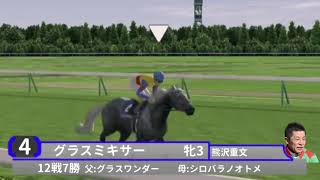 本馬場紹介動画