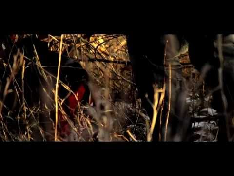 The Antihero Project - Dark Renaissance (Official Video) (Boombap Cats & Logic Johnson)