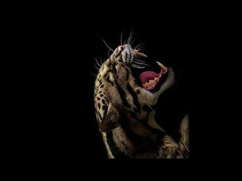 [FREE] SCH x Damso Type Beat - "PADRE" - Intense Piano Beat