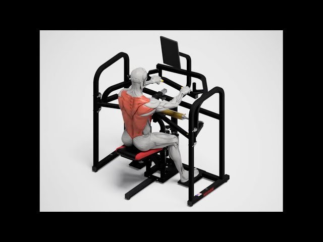 Keiser A400 Bi-Axial Haut du Dos