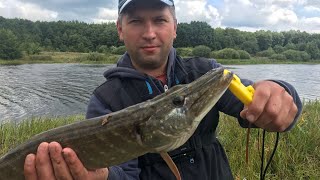 Ловля щуки в рязанской области