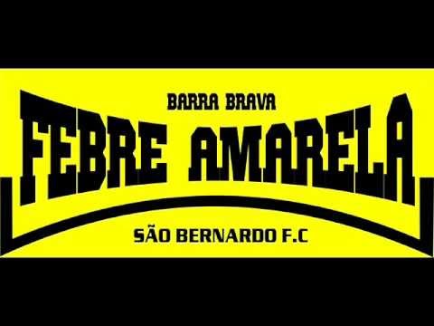 "Tigre meu bom amigo" Barra: Movimento Popular Febre Amarela &bull; Club: São Bernardo Futebol Clube