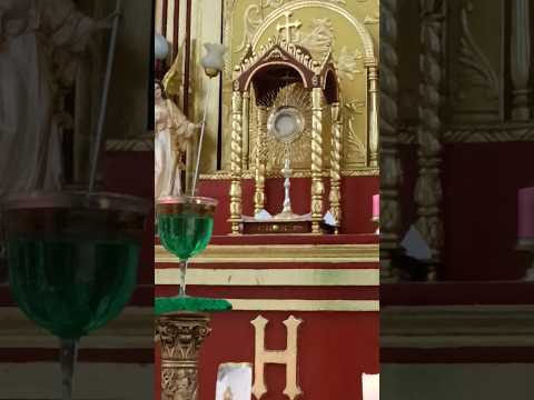 sáname señor Jesús sacramentado con tu espíritu Santo santísima Trinidad ten misericordia de nosotro