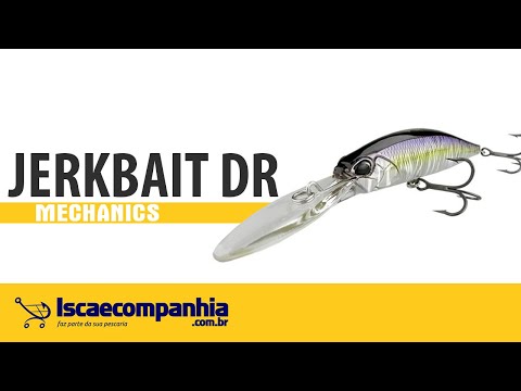 Vídeo Isca Duo Realis Jerkbait 100DR
