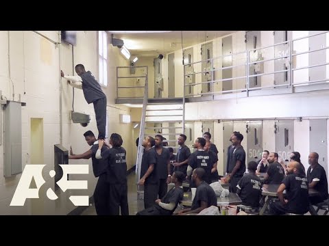 60 Days In: Top 10 Moments From Season 3 | Crime 360