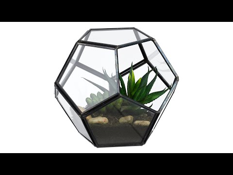 Planten terrarium voor vetplanten zwart - glas - metaal - 14 x 12 x 14 cm