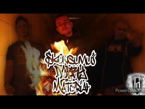 SZNAJDER SDM FT GRZYBEK LOGO DZIELNICY , BAZIU PzSp -  AFERZYŚCI ( 2020 )