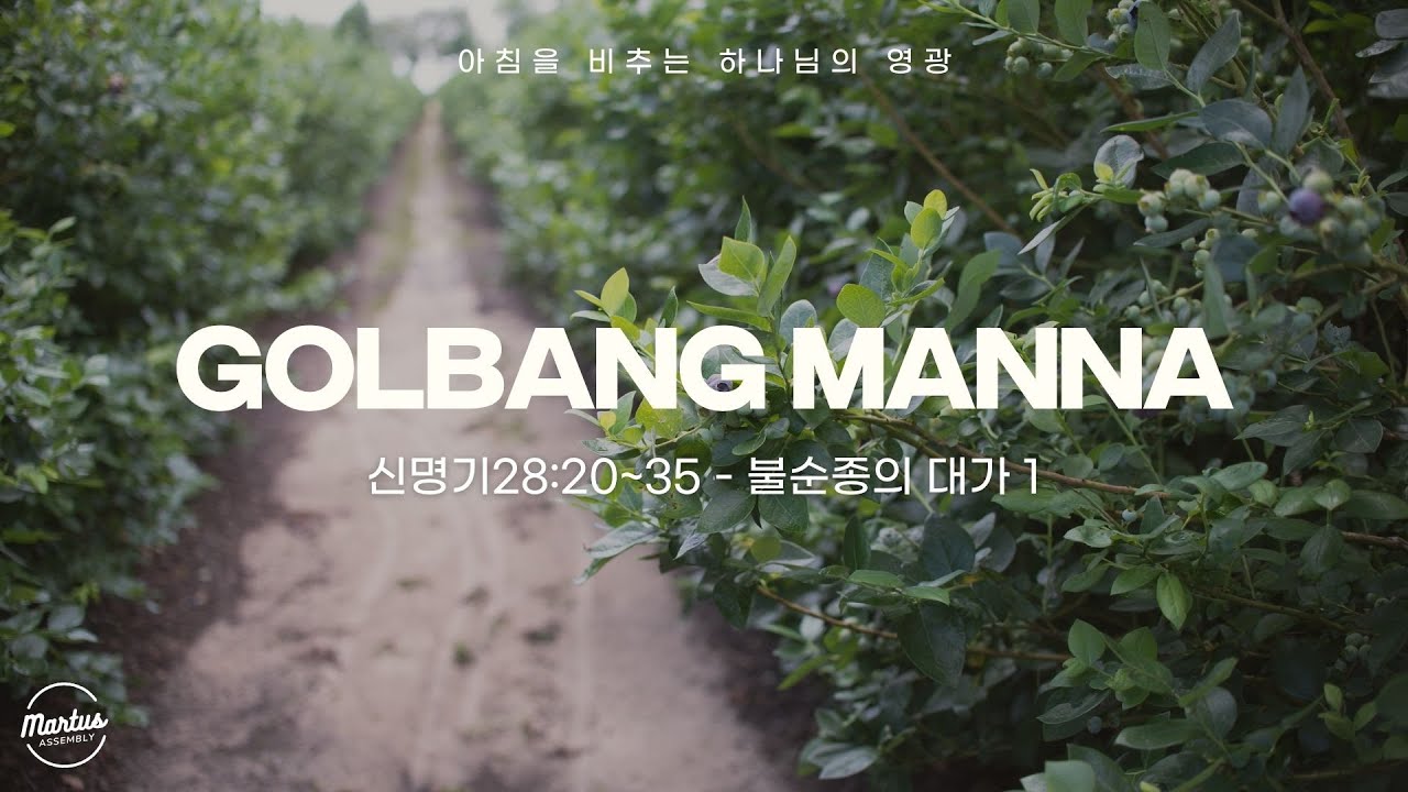 유투브 썸네일