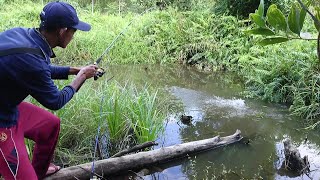 Download lagu MANCING TEPAT DI SARANG IKAN GABUS KELAPARAN LANGSUNG STRIKE mp3 Download lagu MANCING TEPAT DI SARANG IKAN GABUS KELAPARAN LANGSUNG STRIKE mp3