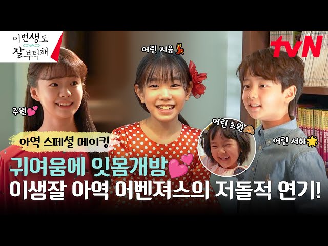 티비나무 다시보기 티비나무 다시보기