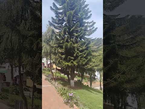 21 de junio de 2026