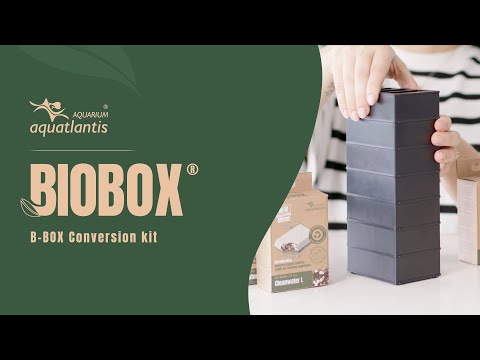 Watch Video on YouTube