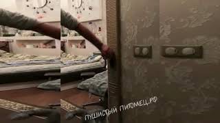 И стены тоже наши)