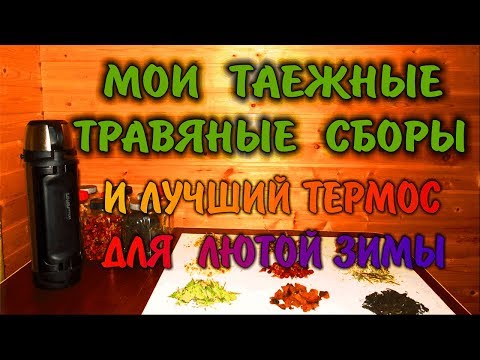 ЛЕЧЕБНЫЕ ТРАВЫ ДЛЯ ЧАЯ. МОЙ ТРАВЯНОЙ СБОР.  Чай в тайге травяной завар. Бушкрафт.