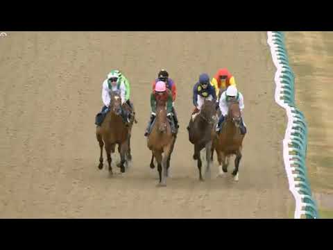 TODAY, LVE RACING ON 21 08 25 , AT 1400 IN  Lingfield