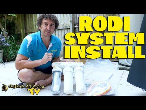 RODI System Install
