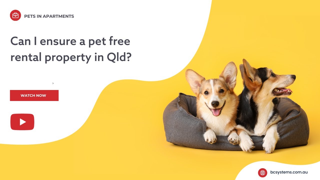 As an owner how can I ensure a pet free rental property?