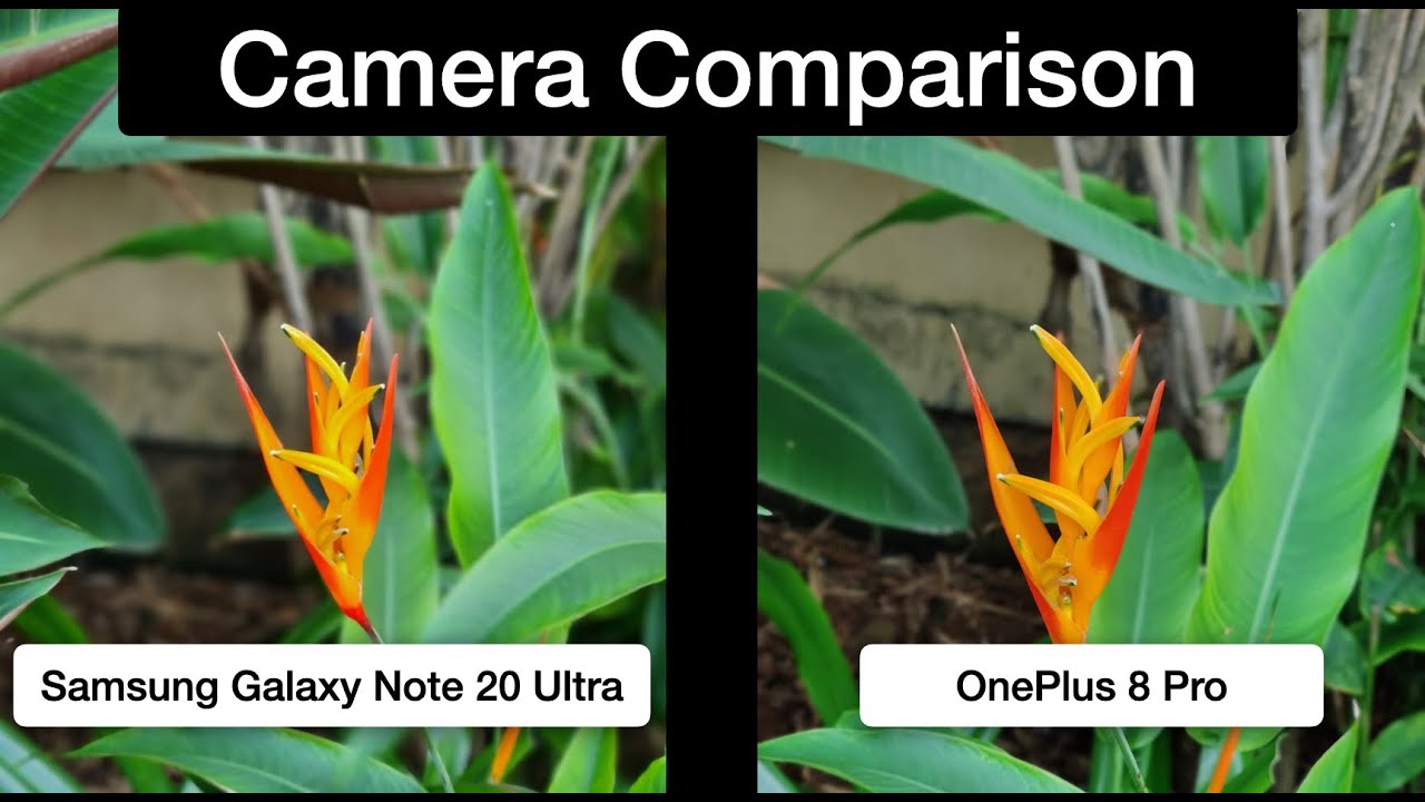#OnePlus 8 Pro vs #Note20 Ultra | Camera Review and Comparison