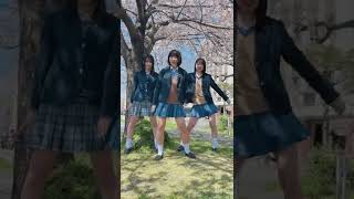 桜の下で〜??#制服ダンス #fyp