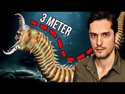 Mörder-Wurm lauert am Meeresgrund