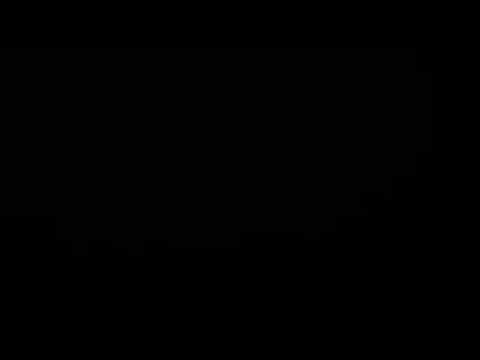 Pronicljivost i predviđanje - hadisi o shvatanju - 165 dio