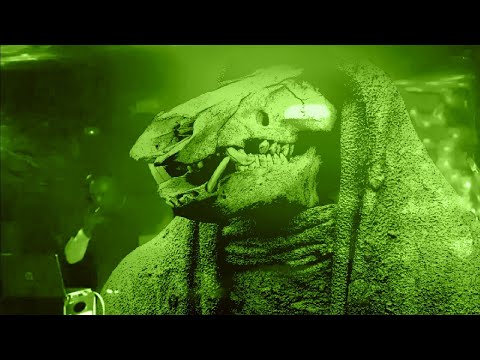 s.c.l.t. @ Bretterschuppen 02.10.2021 [155 BPM Hard Dark Techno Set]