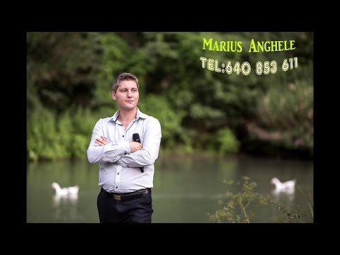 MARIUS ANGHELE - SAL VEDETI PE BUNICU