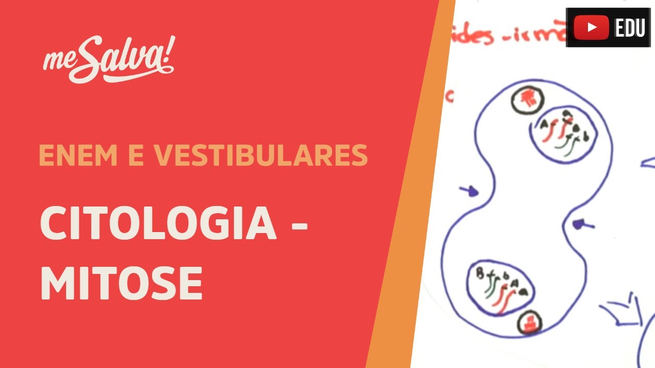 Me Salva!  CIT26 - Citologia - Mitose