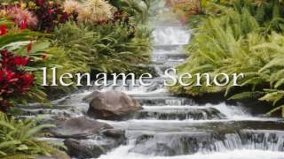 como el ciervo busca por la aguas