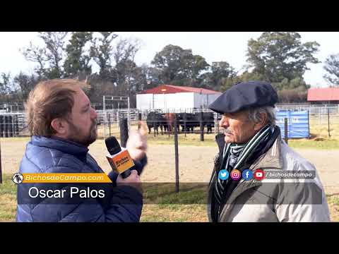 Oscar Palos,  productor agropecuario y cabañero de Macachín, La Pampa