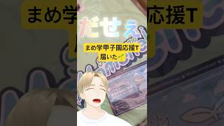 #にじ甲2025 最後かもしれねぇこの超宇宙スケールの夏に僕は1万円課金した。 まめ学頑張れ