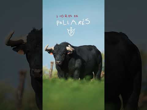 Los toros de Pallarés y Los Maños para el desafío del Domingo de Ramos