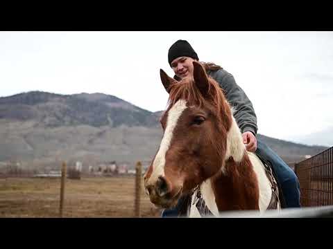 the student, the transfer of trust, and the depth of the program 