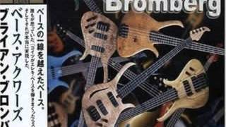Brian Bromberg - Slang