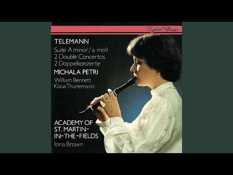 Telemann: Suite in A minor, for Recorder, Strings & Continuo, TWV 55:a2 - Les plaisirs