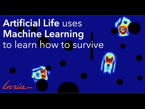 Artificial Life uses Machine Learning to learn how to survive