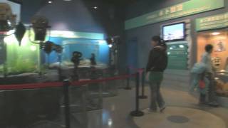 preview picture of video 'China National Film Museum - Beijing'