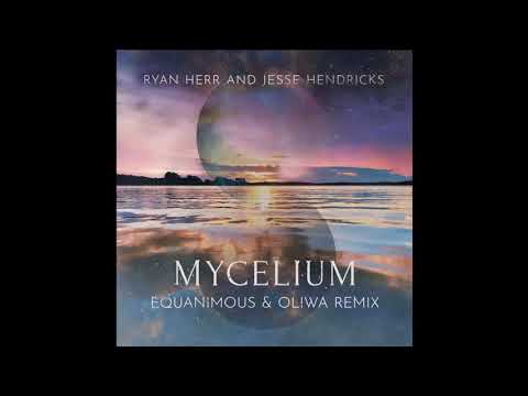 Ryan Herr & Jesse Hendricks - Mycelium (Equanimous & Oliwa Remix)